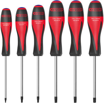 Image du produit Jeu de 6 tournevis ULTIMATE, TORX® percé